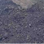 Coal India seeks mine pit lakes in Ramsar list