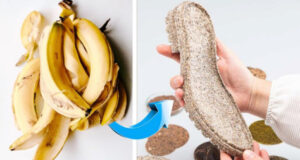 16 Ingenious Ways To Re-Use Banana Peels