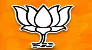 BJP heading towards majority in both the houses