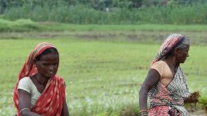 Vedanta Aluminium's 'Jeevika Samriddhi Project' Paves Path for Smart Agri-Entrepreneurs in Jharsuguda