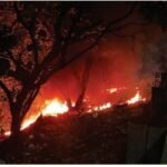 Fire Breaks Out in Sanctuary on World Environment Day, Raising Concerns Over Forest Protection